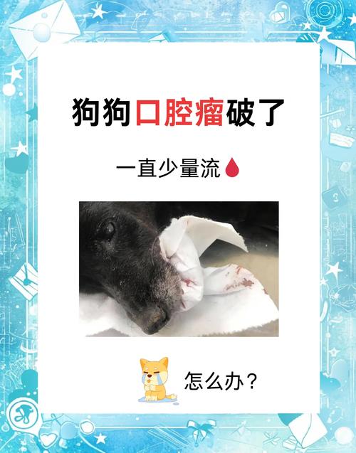 口腔内壁出血怎么办？