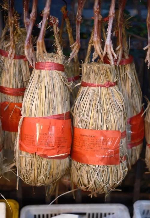 毛鸡最爱的食物是什么?