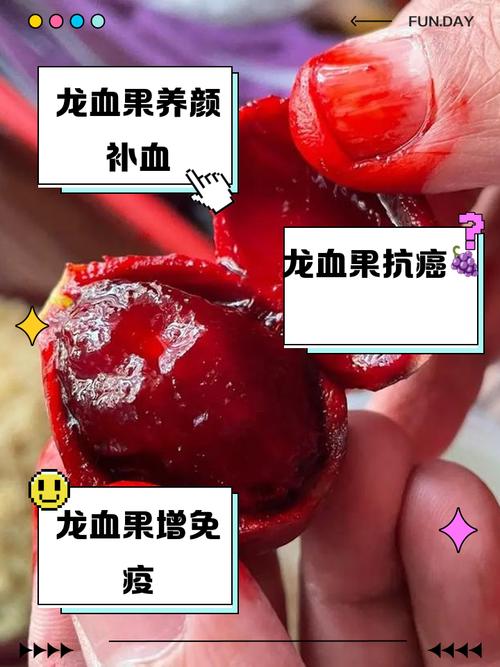 皮肤过敏能吃火龙果吗？