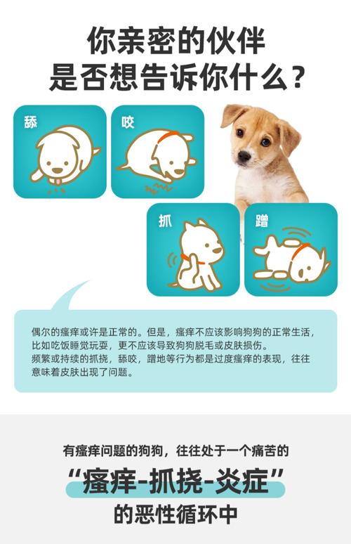 狗狗皮肤过敏用药,哪种最有效?