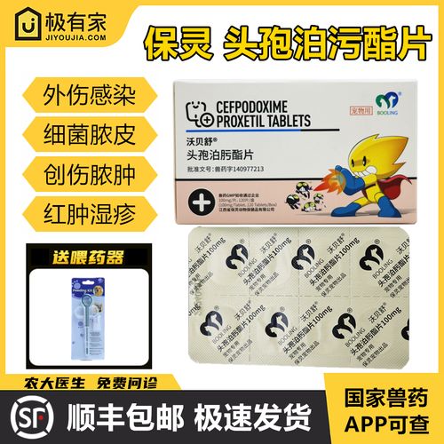 狗狗皮肤过敏用药,哪种最有效?