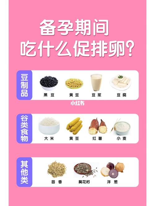 排卵期吃什么食物最助孕？