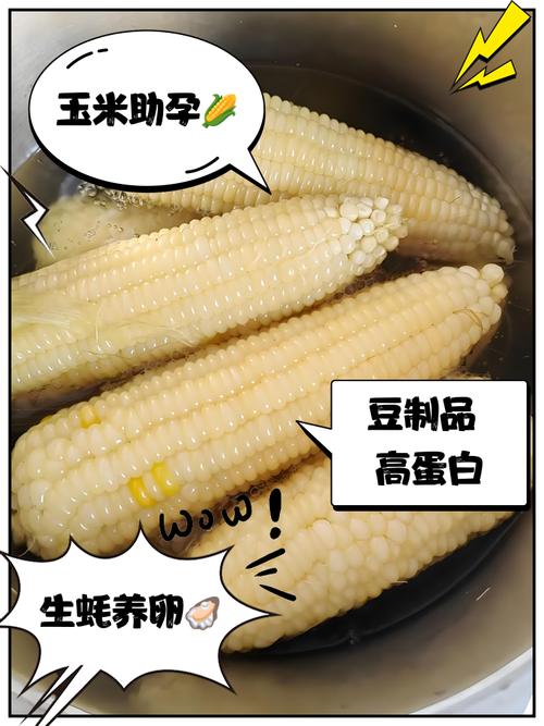 排卵期吃什么食物最助孕?