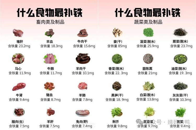 含铁铜食物有哪些？