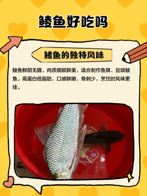 鱼是辛辣刺激性食物吗?