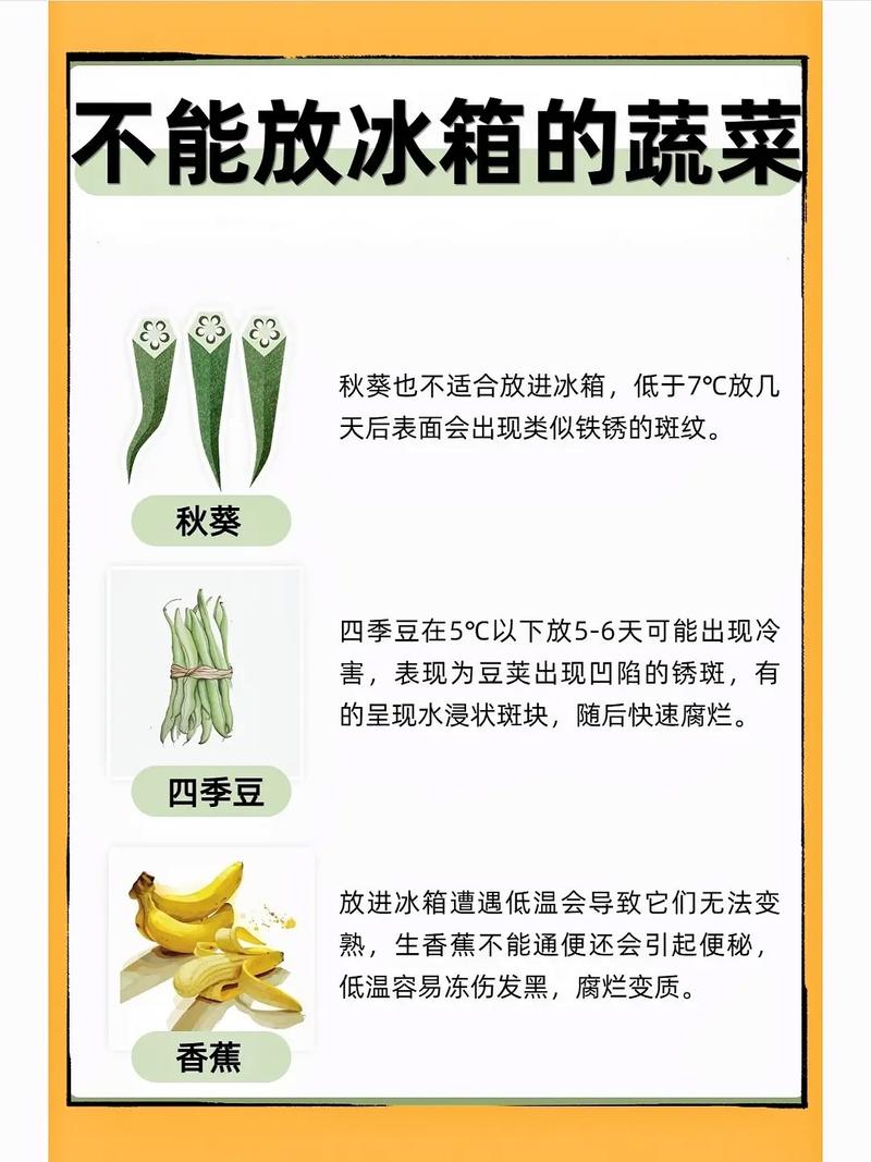 食物不冷却就放冰箱，到底有何影响？
