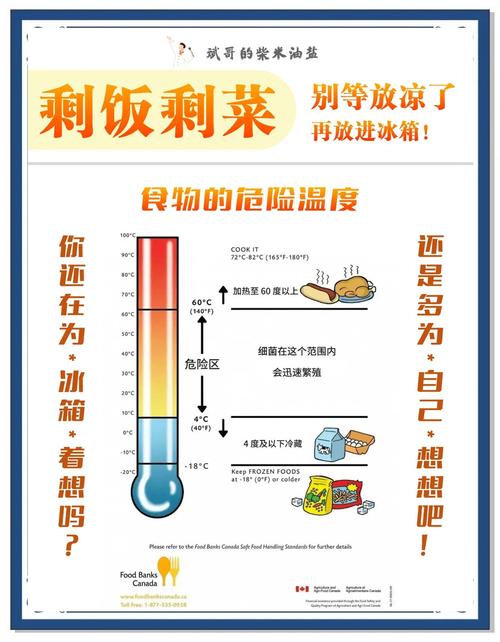食物不冷却就放冰箱,到底有何影响?
