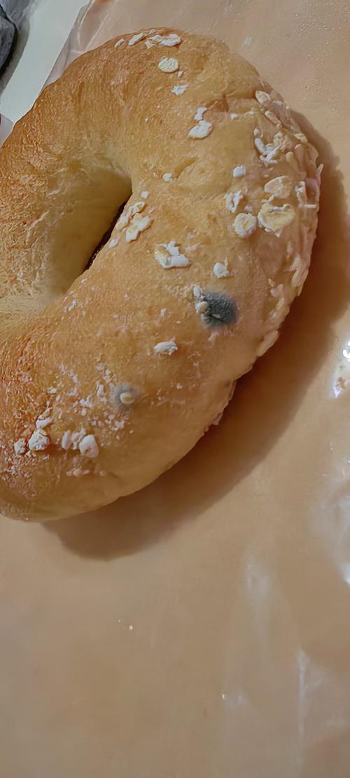 食物长绿毛是变质还是污染？