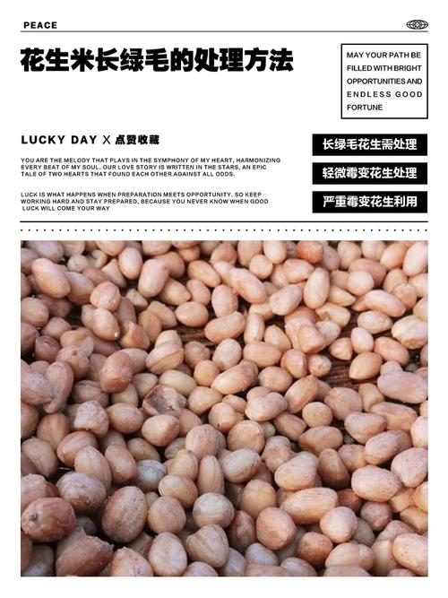 食物长绿毛是变质还是污染?