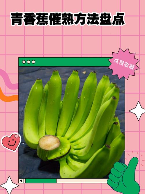青香蕉中毒?能吃吗?