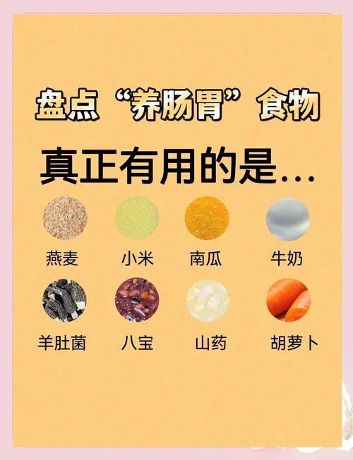 胃寒胃胀吃什么食物能缓解?