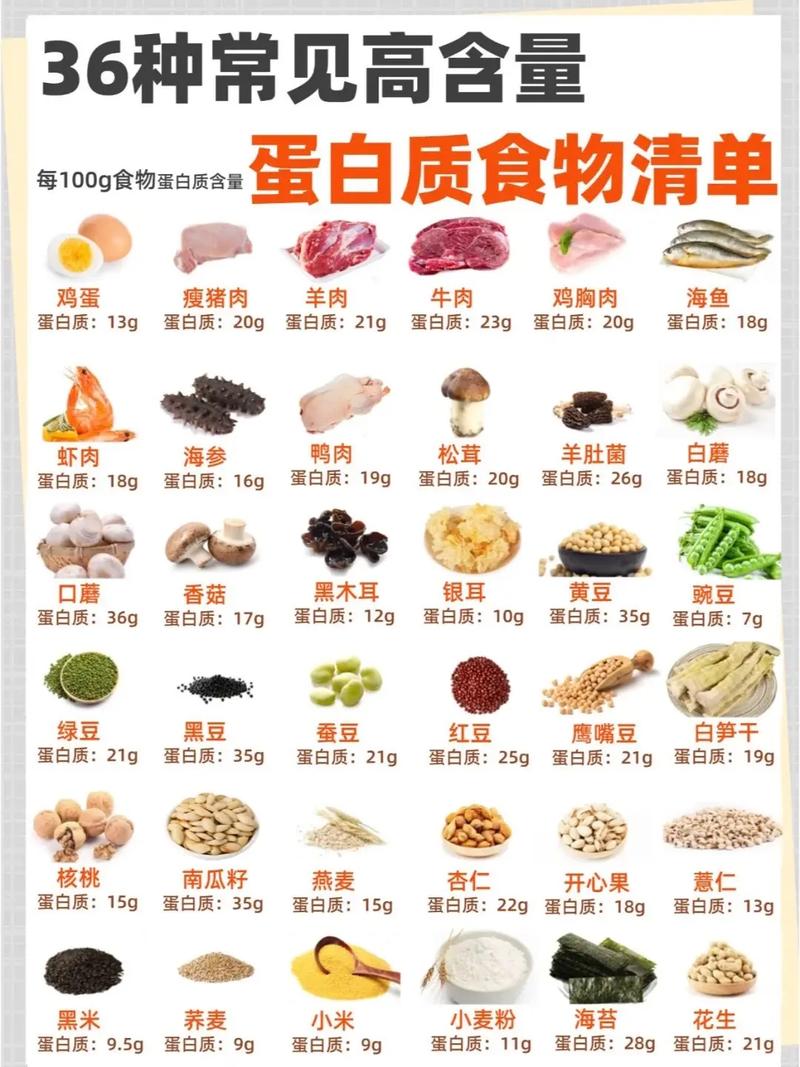 蛋白质高的食物有哪些？