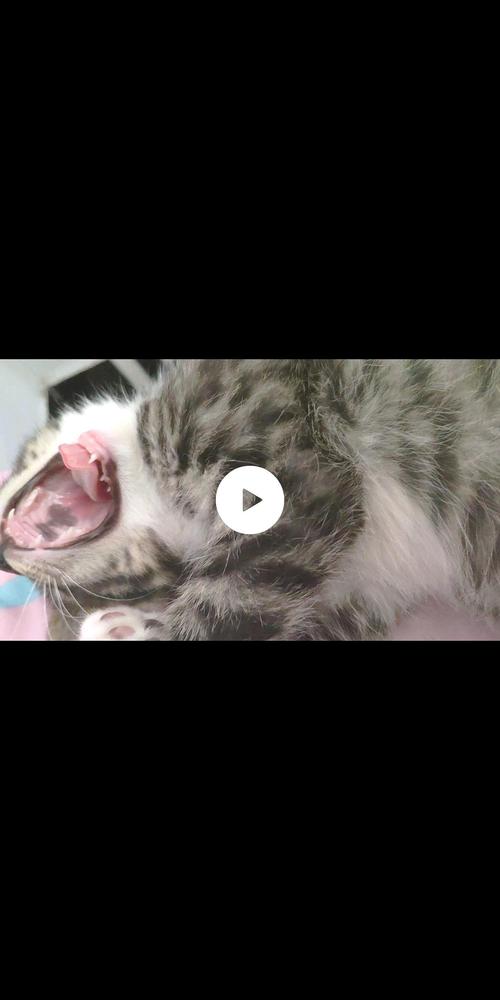 口腔内壁突然长黑色泡是何原因?