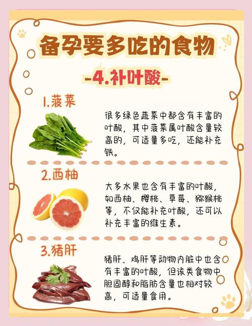 排卵期吃什么食物最助孕？