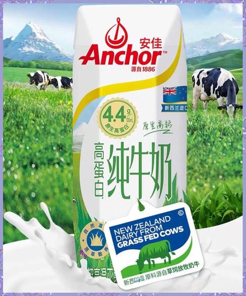 纯牛奶高蛋白吗？营养真相是什么？