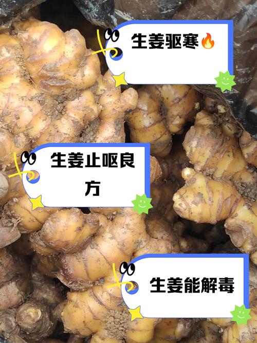 生姜敷脸真能美白祛痘?