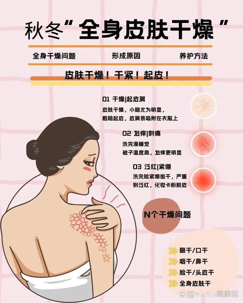 皮肤干燥怎么调理?关键方法有哪些?