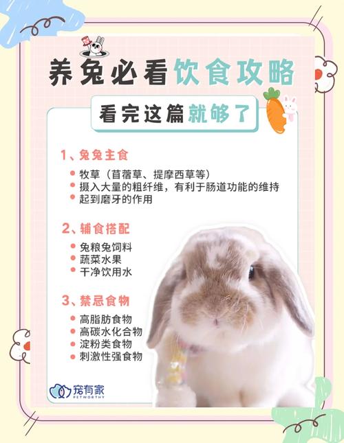 小白兔最爱吃什么食物？