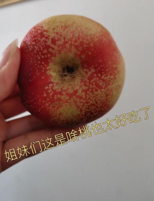 烂桃子吃了会中毒吗？