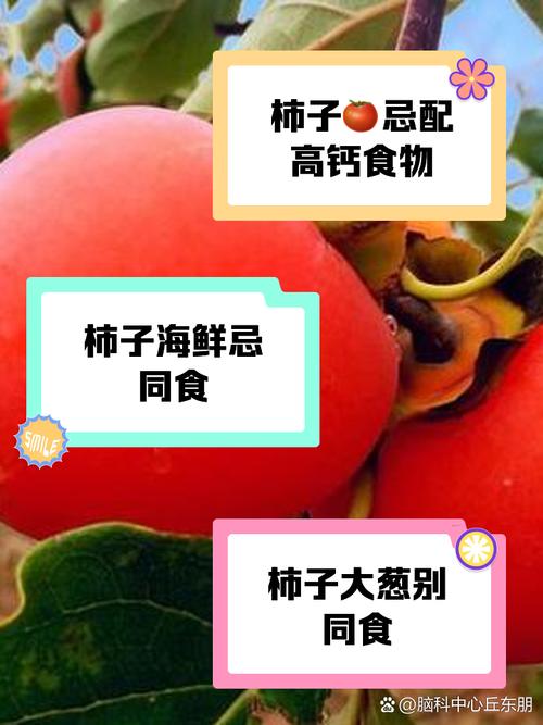 柿子忌与哪些食物同食?