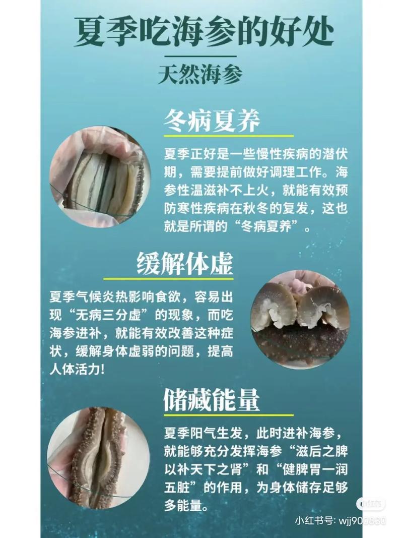 皮肤过敏可以吃海参吗