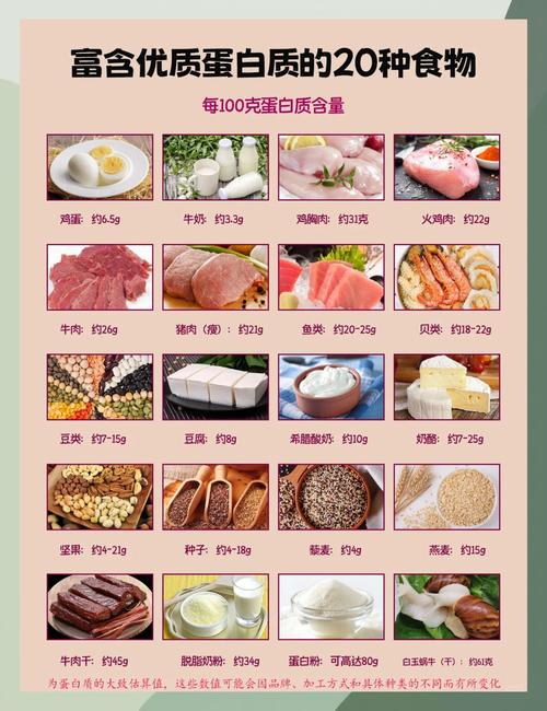 快速补充蛋白质的食物