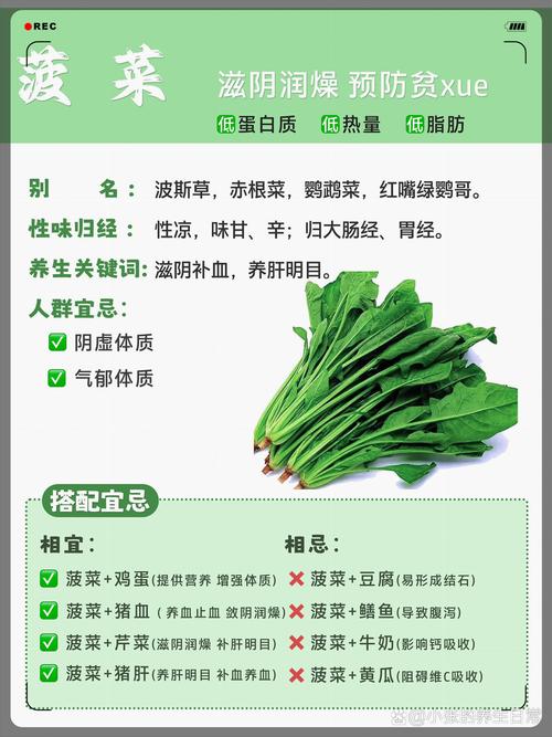 皮肤过敏能吃菠菜吗?