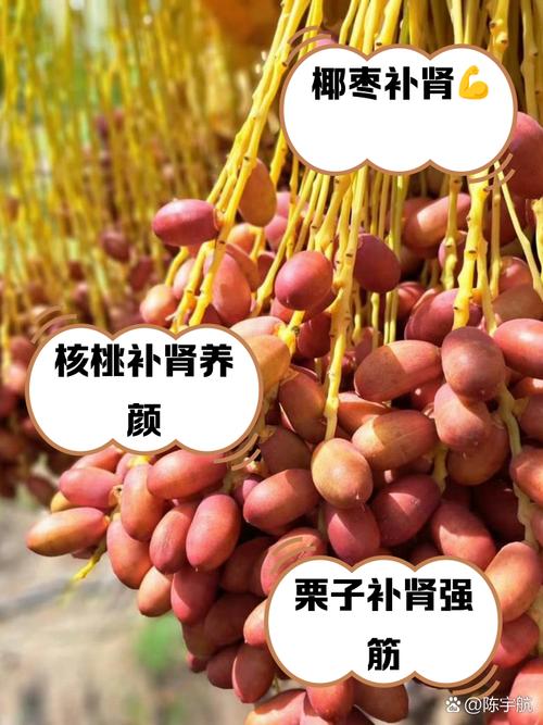 男人状阳吃哪些食物最有效?