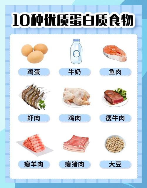 高植物蛋白有哪些食物