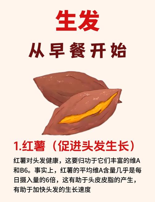 吃什么食物能生发养发?