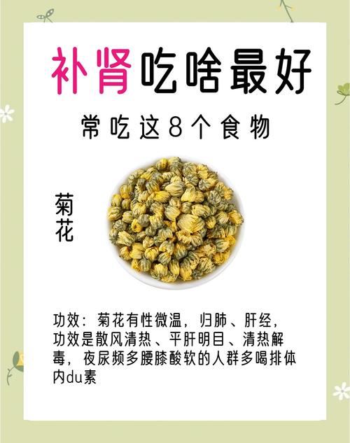 精弱者吃什么食物能改善?