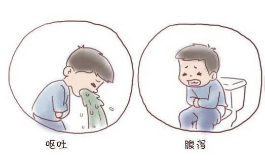 食物中毒后多久会致命?