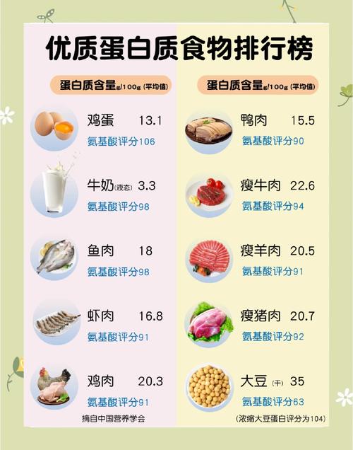 哪些食物富含蛋白质?