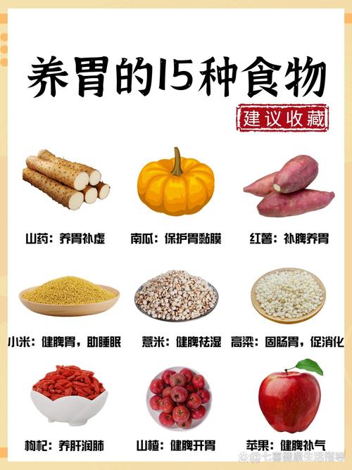 胃好消化食物有哪些?