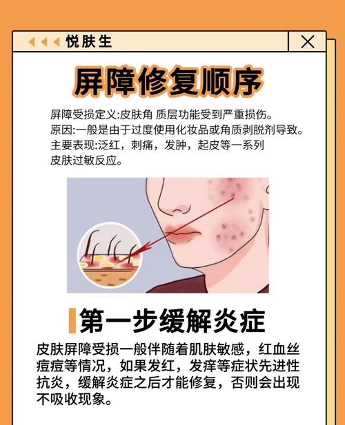 皮肤细胞受损后,身体如何自我修复?