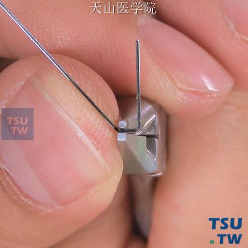 口腔正畸弓丝弯制视频,新手如何快速掌握技巧?