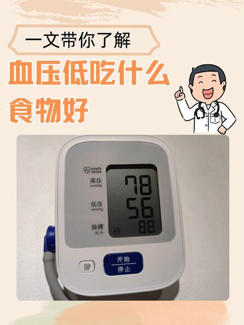 低血压吃什么食物能升压?