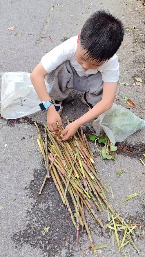 皮肤过敏能吃竹笋吗?