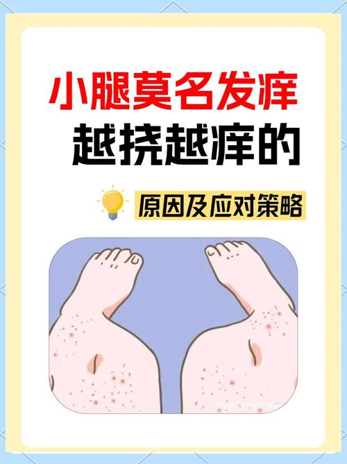 秋冬季皮肤瘙痒,到底该怎么缓解?