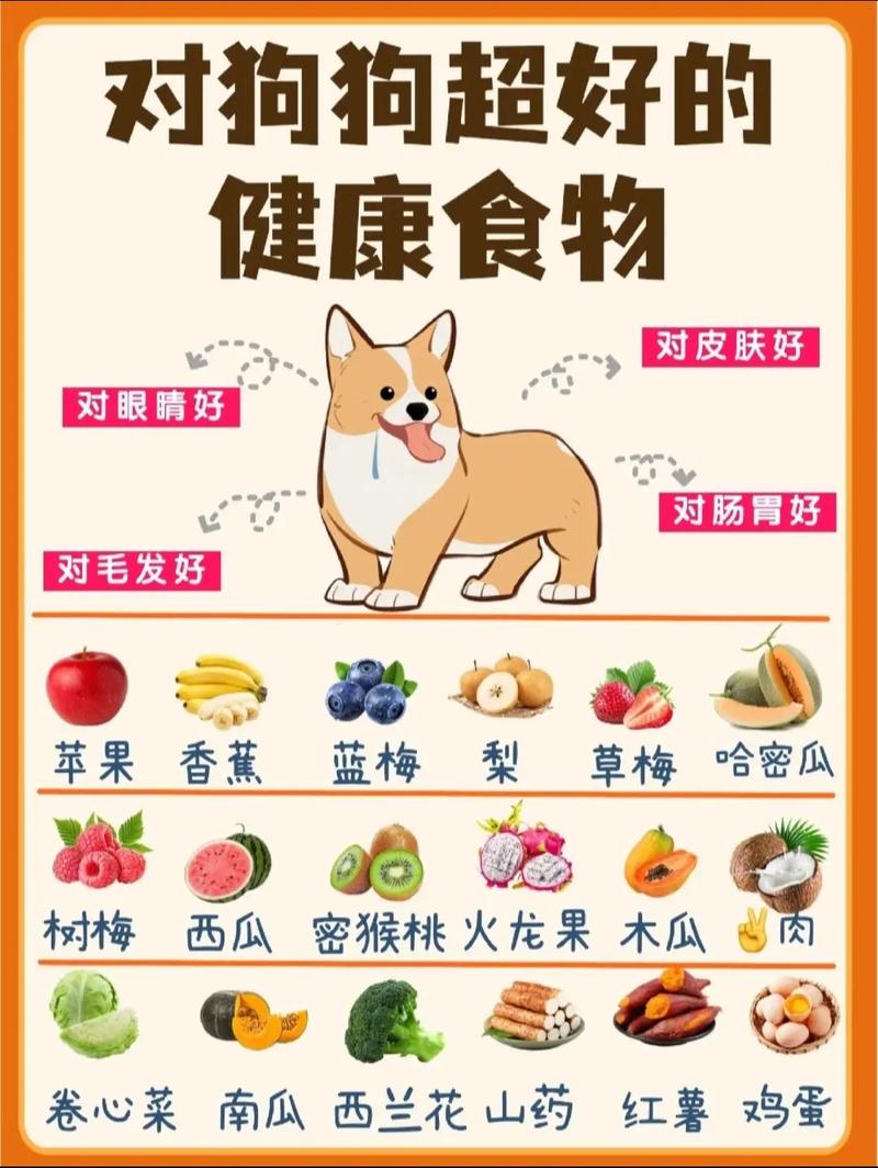 小狗肠胃炎该吃什么食物?