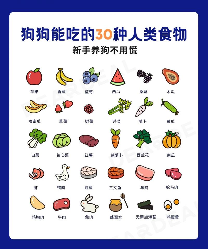 狗狗能吃人吃的食物吗?