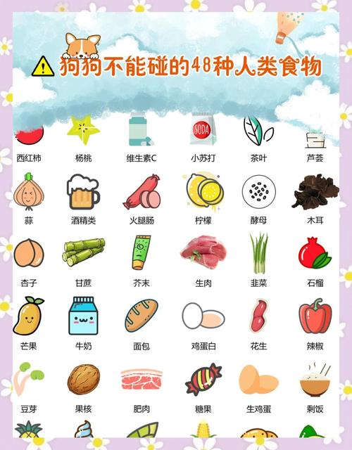 狗狗能吃人吃的食物吗?