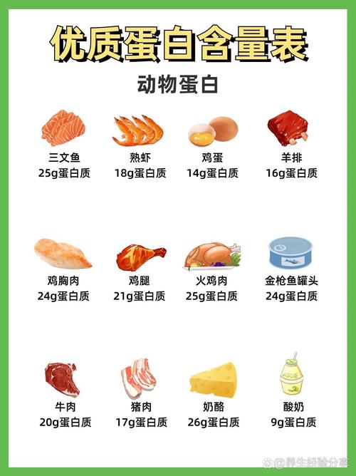 哪种食物蛋白质含量最高?
