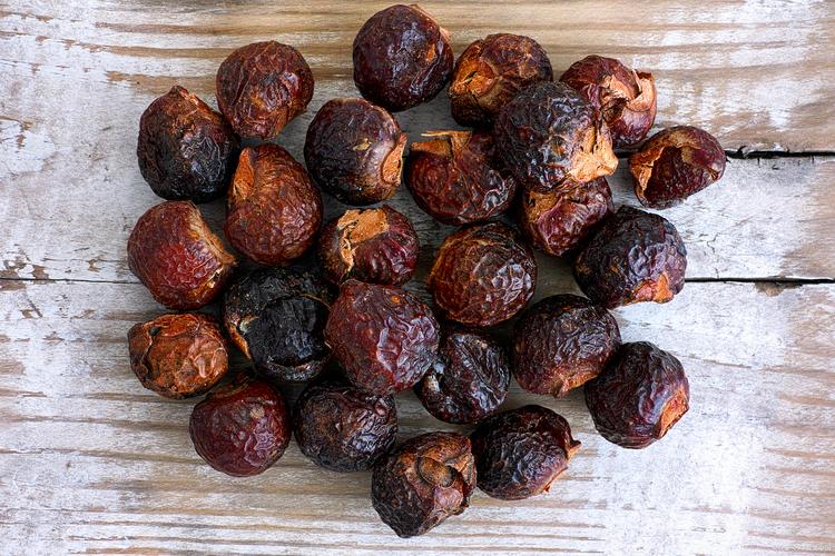 哪些食物能消食化气?