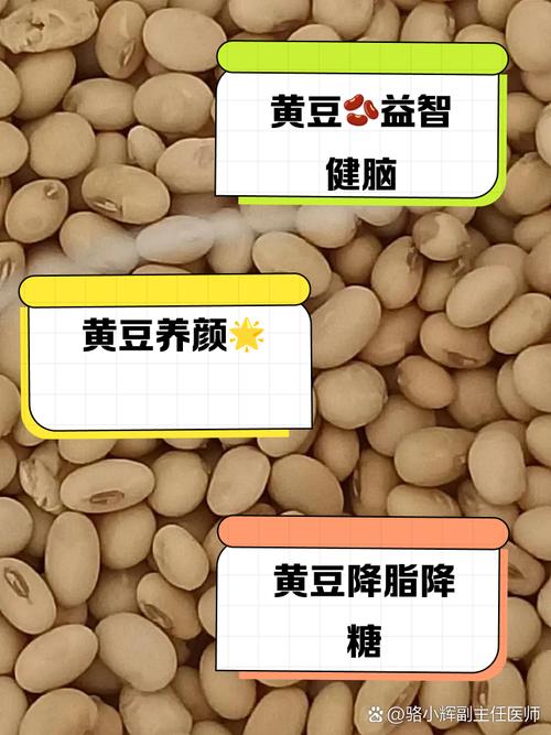 皮肤过敏能吃黄豆吗?