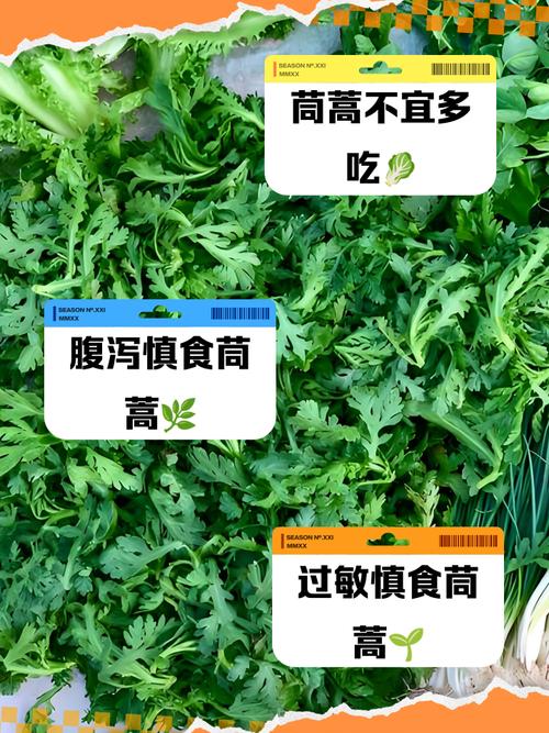 茼蒿菜与哪些食物同食会相克?