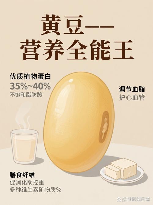 黄豆属于高蛋白食物吗
