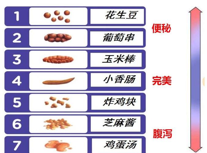 食物如何一步步变成大便?