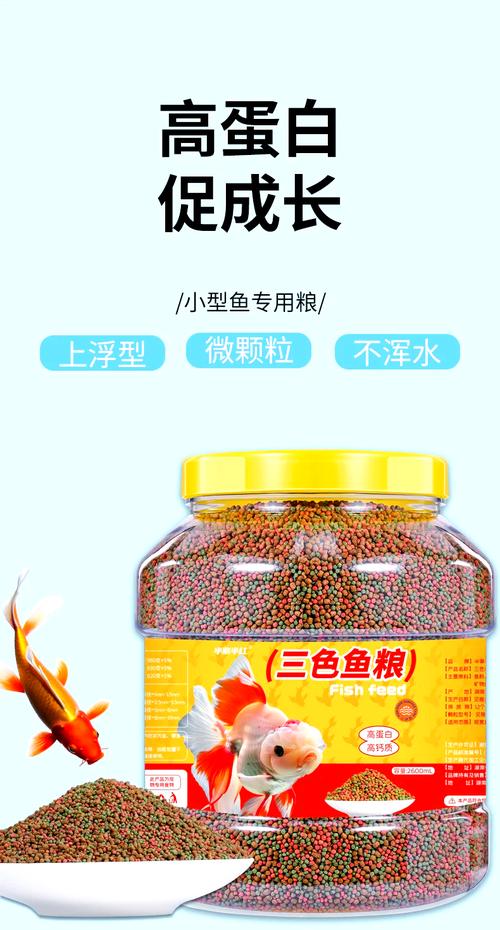 金鱼吃什么食物长得快?